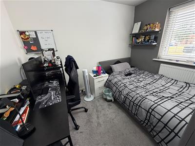 Picture 13